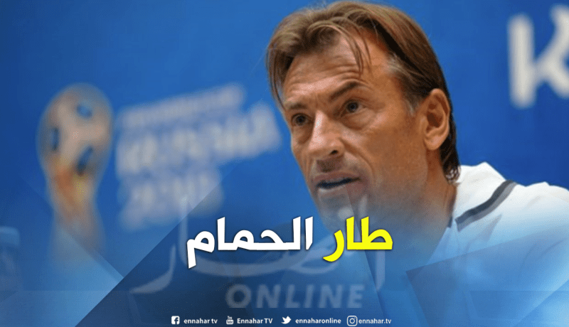 رونار يبتعد عن الخضر ويقترب من تدريب هذا المنتخب !!