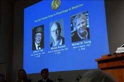 ثلاث أمريكيين يتقاسمون جائزة نوبل للطب