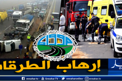 حصيلة مرورية مرعبة.. تجاوزت الـ3 آلاف قتيل في 11 شهرًا