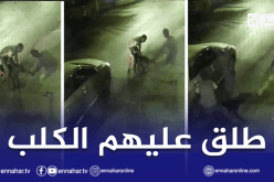 المنيعة.. إيداع الشخص المتورط في تحريض كلب على عمال مخبزة الحبس وحجز الحيوان