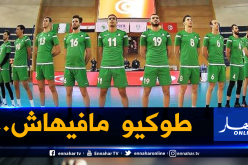 طائرة الجزائر تسقط في تونس!