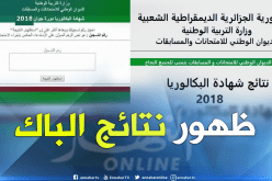 الإعلان عن نتائج البكالوريا عبر الموقع الإلكتروني 