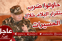 قايد صالح: “سجلنا محاولات من أطراف أجنبية لضرب استقرار البلاد خلال المسيرات”