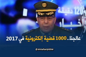 1000 قضية إلكترونية عولجت عام 2017..”القرصنة الإلكترونية” الهاجس