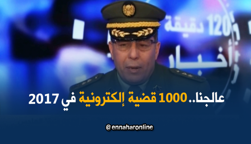 1000 قضية إلكترونية عولجت عام 2017..”القرصنة الإلكترونية” الهاجس