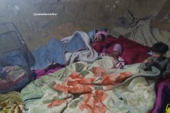 عائلة من 7 أشخاص تعيش داخل مغارة منذ 6 أشهر في تلمسان 