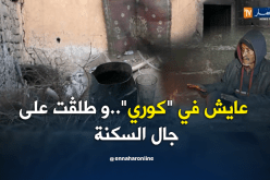 حرز الله 39 سنة من المعاناة داخل إسطبل