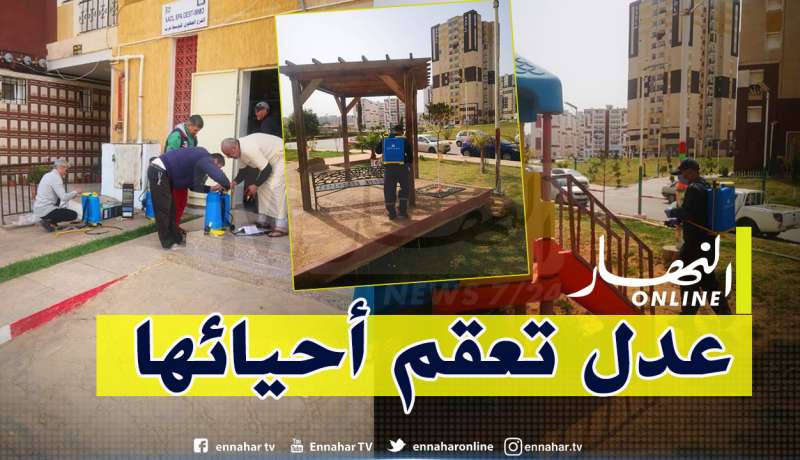 بالصور.. “عدل” تطلق أكبر عملية تعقيم لأحيائها لمواجهة كورونا