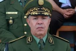 اللواء عبد الرحمان عرعار ينصب العقيد بن سعيد إلياس قائدا جهويا للدرك الوطني ببشار