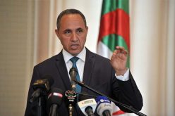 مهيوبي يشارك في إفتتاح تظاهرة “وجدة عاصمة الثقافة العربية” بالمغرب