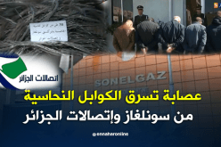 تفكيك شبكة وطنية لسرقة الكوابل النحاسية من سونلغاز وإتصالات الجزائر ببومرداس