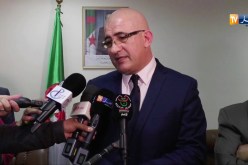 سي الهاشمي عصاد: إنشاء الأكاديمية الجزائرية للغة الأمازيغية قريبا