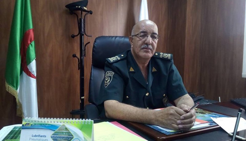 محمودي علي: غرس ما يقارب 880 ألف هكتار من المساحات الغابية الضائعة