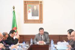 شريف عماري: مخططات عمل استباقية في قطاع الفلاحة تنفيذا لقرارات الرئيس تبون