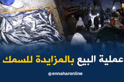 تعرف على  كواليس عملية بيع السمك بالجملة بعين تموشنت