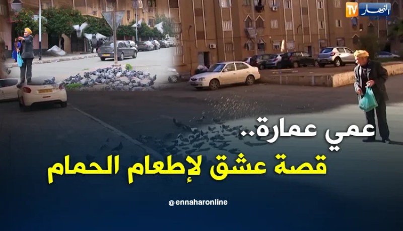 عين تموشنت: عمي عمارة.. قصة عشق لإطعام الحمام