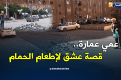 عمي عمارة.. قصة عشق لإطعام الحمام