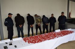 عنابة.. حجز قرابة الـ3300 قرص مهلوس بالكاليتوسة