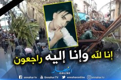 عنابة.. نخلة تسقط على شاب وترديه قتيلا