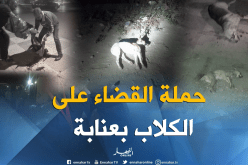 بالصور.. حملة القضاء على الكلاب الضالة تنطلق بالحجار في عنابة