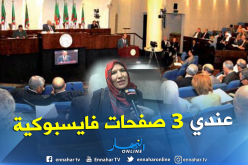 بالفيديو.. شاهد إجابات النواب حول امتلاكهم للصفحات الفايسبوكية