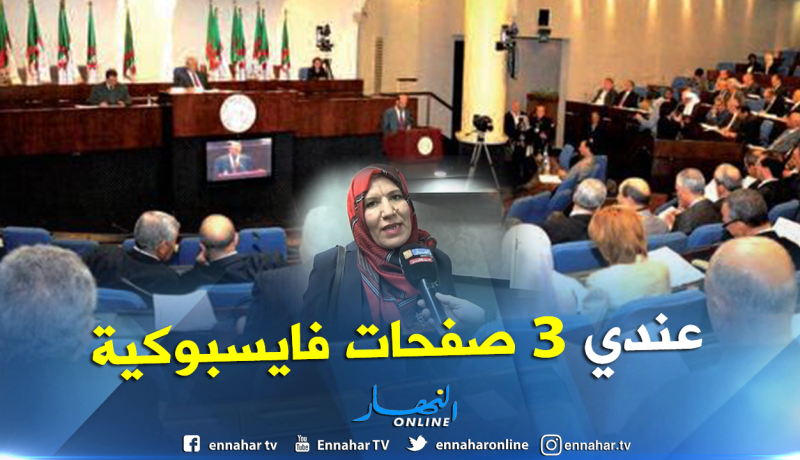 بالفيديو.. شاهد إجابات النواب حول امتلاكهم للصفحات الفايسبوكية