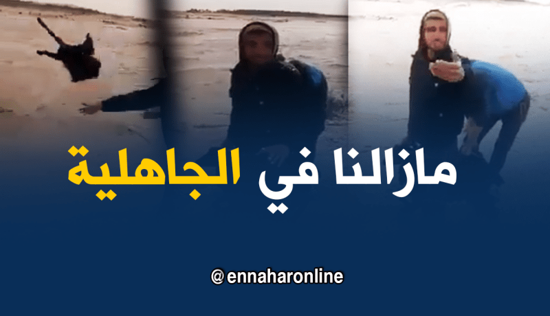 الجهل بعينه.. “رمى معزة في الواد”خوفا من الكارثة…!!!
