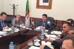 عوماري: نحو إستيراد اللحوم حية مستقبلا