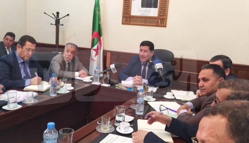 عوماري: نحو إستيراد اللحوم حية مستقبلا