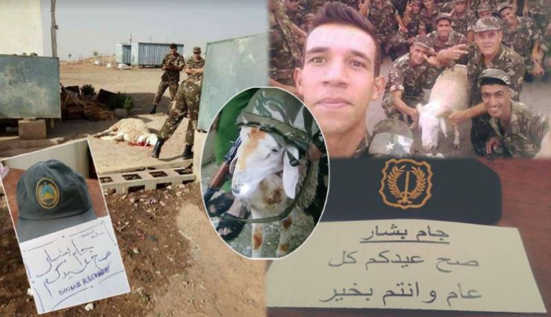 بالصور هكذا يحتفل حماة الوطن بعيد الأضحى