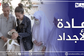 أم البواقي: وضع الحناء على رأس الأضحية .. عادة متوارثة منذ القدم