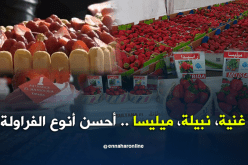 عيد الفراولة.. عرض لمختلف الأنواع وتشجيع للمنتجين في تيبازة