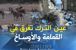 بالفيديو والصور.. الكلاب الضالة والنفايات تحاصر صيف عين الترك في وهران