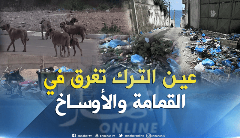 بالفيديو والصور.. الكلاب الضالة والنفايات تحاصر صيف عين الترك في وهران