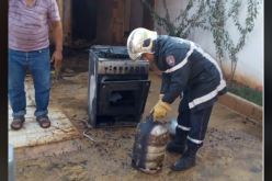 عين الدفلى: إصابة شخصين في حريق مطبخ منزلي