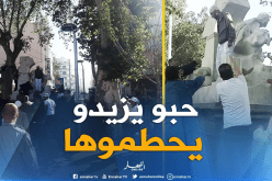 بالفيديو والصور.. “ملتحي” يعتدي على عين الفوارة ويحاول تحطيمها بسطيف