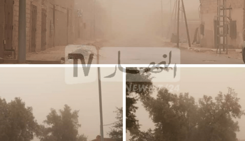 بالصور.. رياح قوية وضباب كثيف يحجب الرؤية في عين صالح