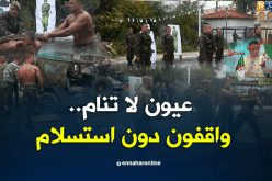 الشيخ النوي.. أبناء الجزائر.. أسود تحرس البلاد