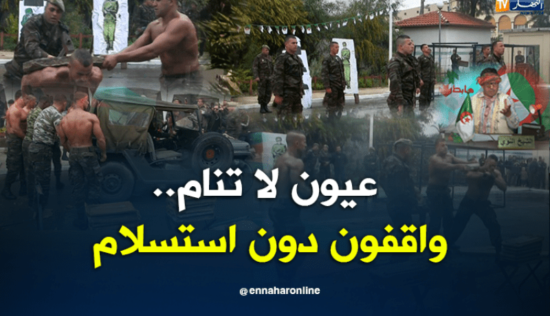 الشيخ النوي.. أبناء الجزائر.. أسود تحرس البلاد