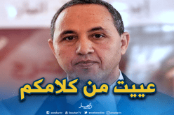 وزير الثقافة السابق عز الدين ميهوبي يلجأ إلى القضاء