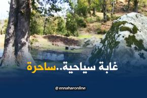 جيجل: قناة النهار تتوغل في غابة ساحرة كانت من المحرمات