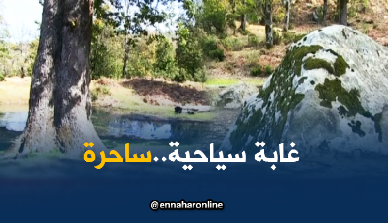 جيجل: قناة النهار تتوغل في غابة ساحرة كانت من المحرمات