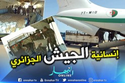 بالصور.. الجيش ينقل مساعدات جزائرية إلى مدينة غات الليبية