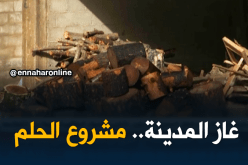 سكان المناطق المعزولة بسكيكدة يلجؤون لتخزين الحطب وقارورات الغاز