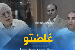 بالفيديو.. الحاج كمال:”مدوار قال للعايب أنت “خرفت””