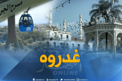 مروجو مخدرات يطعنون شرطي بمحطة “التيليفيريك” في البليدة