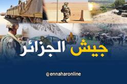 توقيف 4 عناصر دعم للجماعات الإرهابية في غرداية