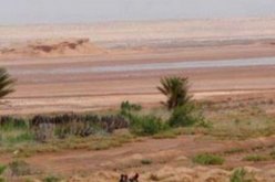 غرداية.. استرجاع 200 هكتار من العقار الصناعي من 117 مستثمر