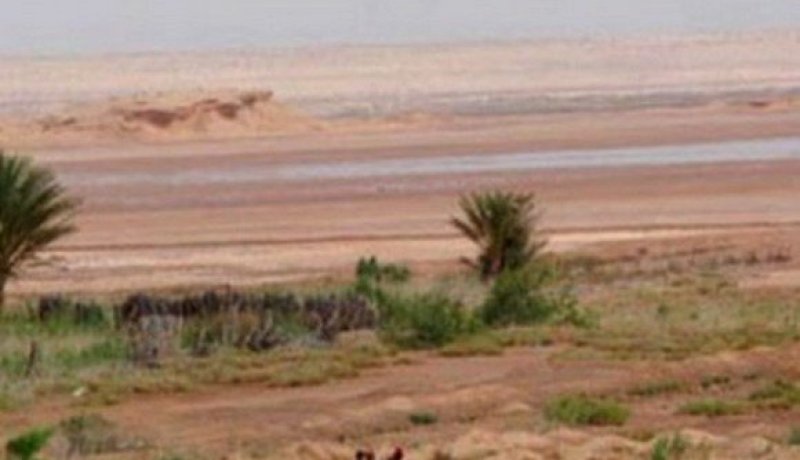 غرداية.. استرجاع 200 هكتار من العقار الصناعي من 117 مستثمر