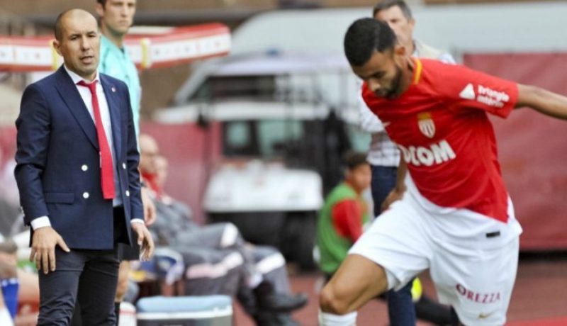 جارديم : “غزال قوي ولكن.. ” !